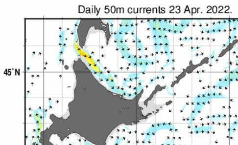 図3 知床半島付近の日別海流（気象庁のデータを筆者が一部抜粋）