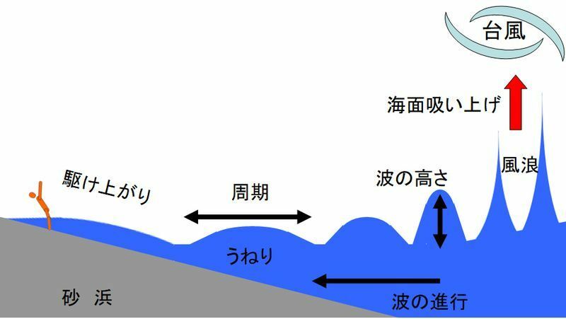 図1 台風によるうねりと海面吸い上げの様子を説明するためのイメージ図（筆者作成）