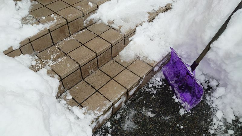 図6 道つけ後の様子。紫色のプラスチック製プッシャーをつかってシャーベット状態に融けた柔らかい雪をどけた（筆者撮影）