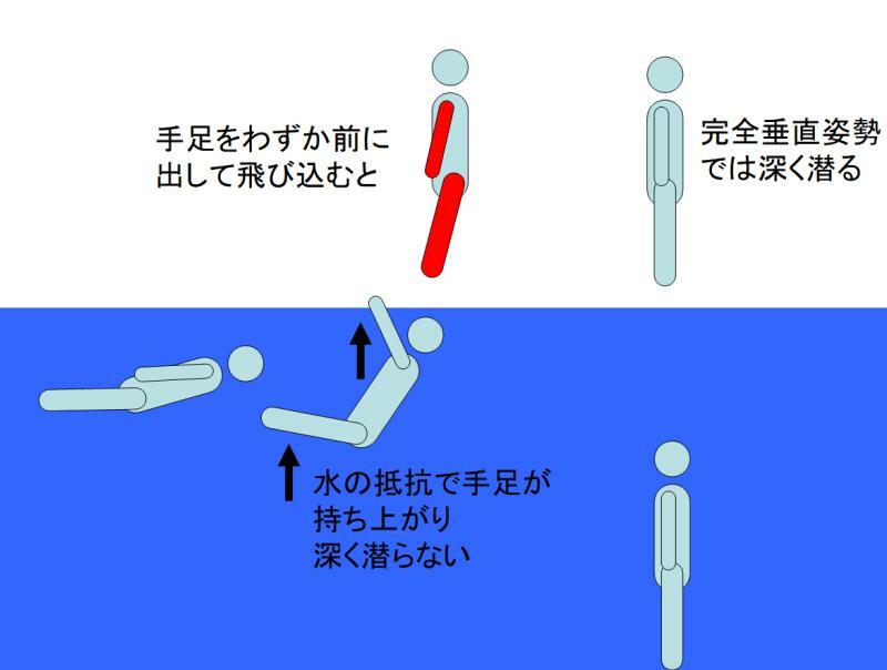 図2 水面に飛び込む直前の姿勢と水中姿勢との関係（筆者作成） 