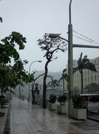 ３０日午前の那覇　台風１２号に伴う雨