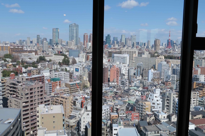23階建て上層階には、六本木ヒルズと東京タワーのほぼ全景が見える住戸もある。筆者撮影