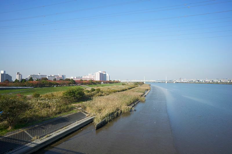 荒川に設けられたスーパー堤防。幅広の堤防の上が大島小松川公園として活用されている。
