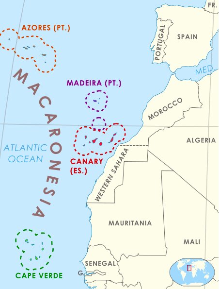 北大西洋マカロネシアの地図。紫部分がマディラ諸島。メインの島がロナウドが生まれたマディラ島。wikipediaより