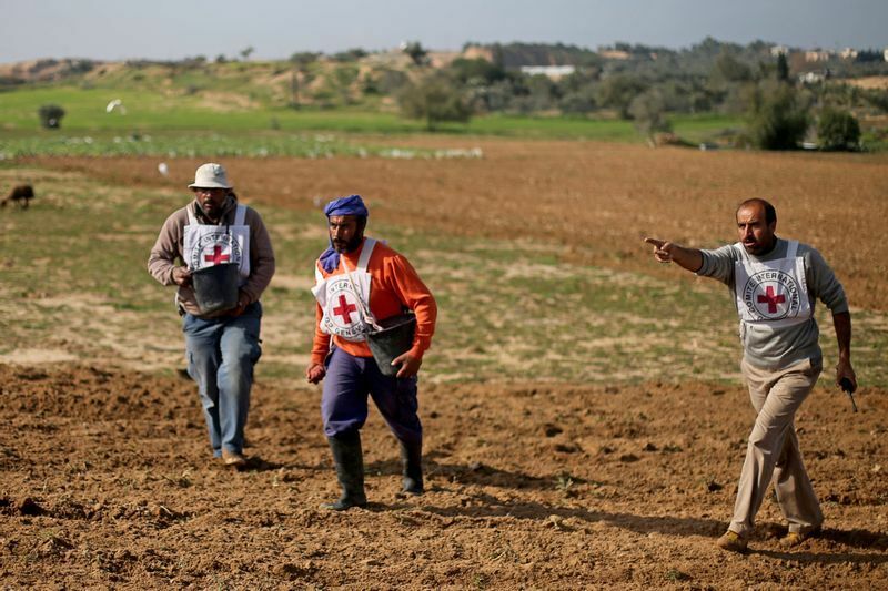 赤十字国際委員会の支援を受けたパレスチナの農民が、ガザ地区中央部のイスラエルガザ国境近くで、小麦の種を投げながら植えるパレスチナの農民たち。2020年2月3日