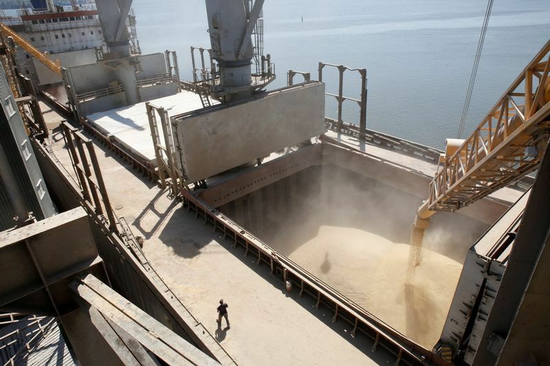 クリミア併合前の2013年7月、ウクライナ南部の都市ミコライフにある農産物出荷ターミナルで、大麦粒が4万トンの船に注ぎ込まれる。以前はこのように黒海から輸送されていた。