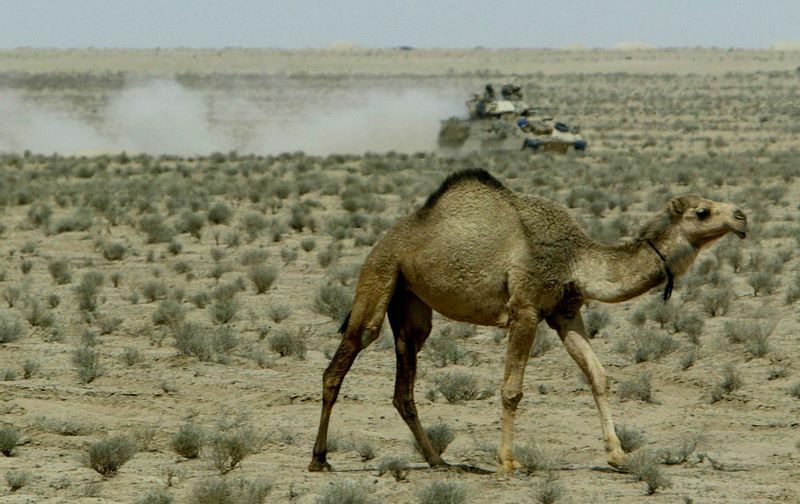 2003年3月21日未明、米軍がクウェート国境を越えた後、イラク南部の砂漠を疾走する米軍M1A1エイブラムス戦車。2003年3月21日。