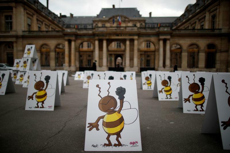 フランスの国務院。ルーブル美術館向かいのパレ・ロワイヤルの中にある。写真は、ミツバチを殺すネオニコトノイド系殺虫剤の禁止を緩和する政府決定の差し止めを求める抗議活動。2021年3月