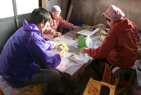 宮城県石巻市の漁村にて実施されている漁村留学「イマ、ココプロジェクト」。漁師の作業を手伝い、学ぶ７日間です。写真提供：PBV