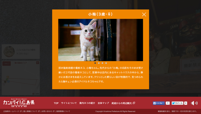 広島CAT STREET VIEW尾道編のポップアップ画面