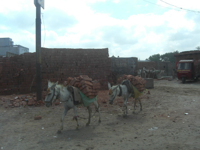 インドの地方ではまだ道路が舗装されていない所が多い