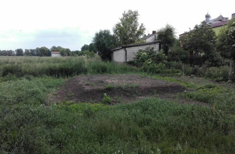 ポーランドで発掘された殺害跡（シェム・オラム・ホロコースト教育博物館提供）