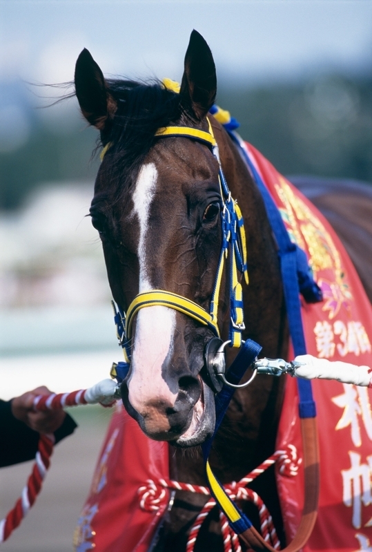 実は札幌記念が名牝エアグルーヴ誕生の瞬間だった。武豊騎手らが 実は札幌記念が名牝エアグルーヴ誕生の瞬間だった。武豊騎手らが