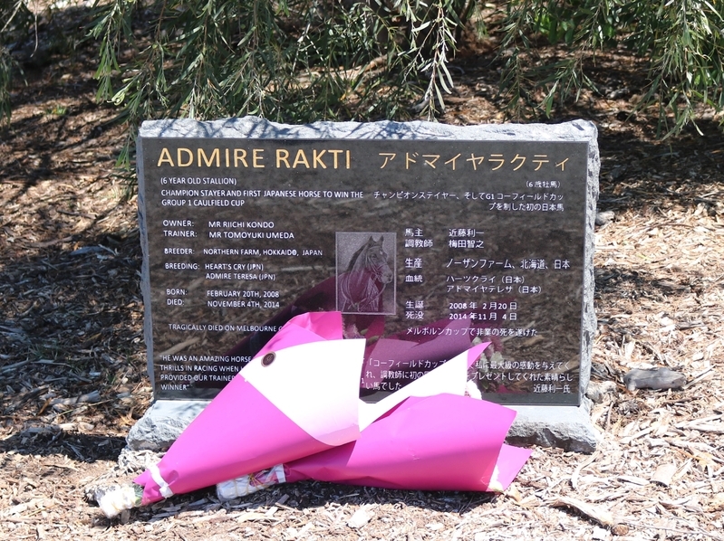 アドマイヤラクティのお墓は彼の散ったオーストラリアにある。日本から訪れたファンや地元のファンが今でも花束やフルーツを供えにやってくるそうだ。17年10月23日撮影。