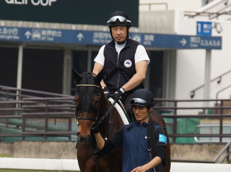 鞍上が藤原和男調教助手。写真は2015年のクイーンエリザベス二世盃に挑戦した際のステファノス。