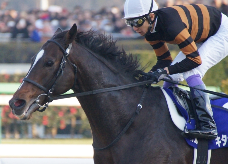 有馬記念を制したキタサンブラックの武豊。その勝利を報告した 有馬記念を制したキタサンブラックの武豊。その勝利を報告した