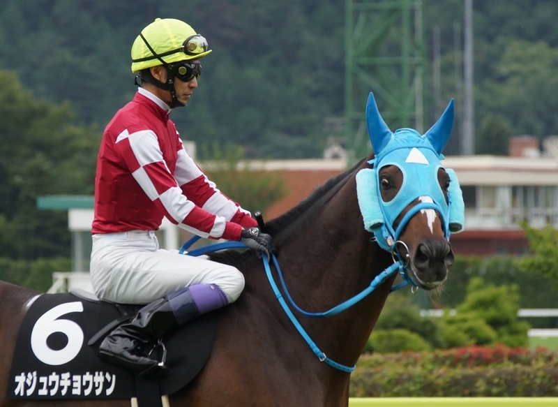 大歓声を受け、武豊を背に馬場入りしたオジュウチョウサン