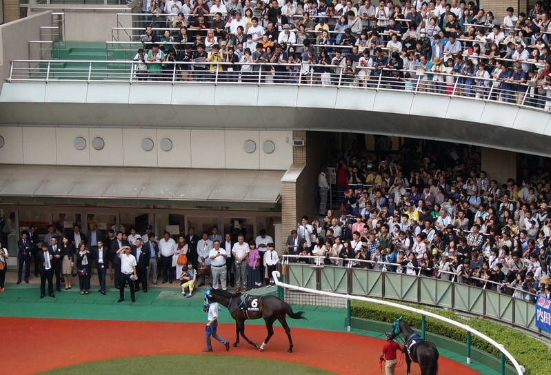 東日本大震災以降の福島土曜開催では最高の入場人員となり、歴史的瞬間を見届けようと集まったファンでパドックもぎっしり。中央がオジュウチョウサン