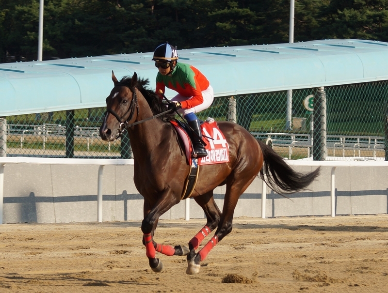 韓国Ｇ１の２競走をいずれも日本馬が優勝。当日の現場の様子とは 