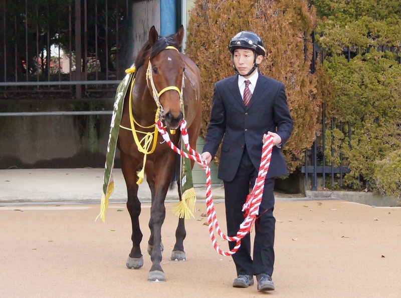 京都記念でダービー馬レイデオロを破り重賞初制覇を飾ったクリンチャー。曳いているのが長谷川