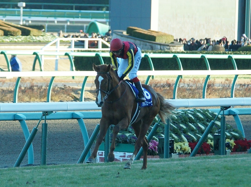 レア】〜限定出品〜 競馬 中山馬主協会 オルフェーヴル 池添騎手