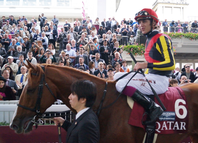 枚数限定! 【レア】競馬 中山馬主協会 オルフェーヴル 中古¥6,000 池添