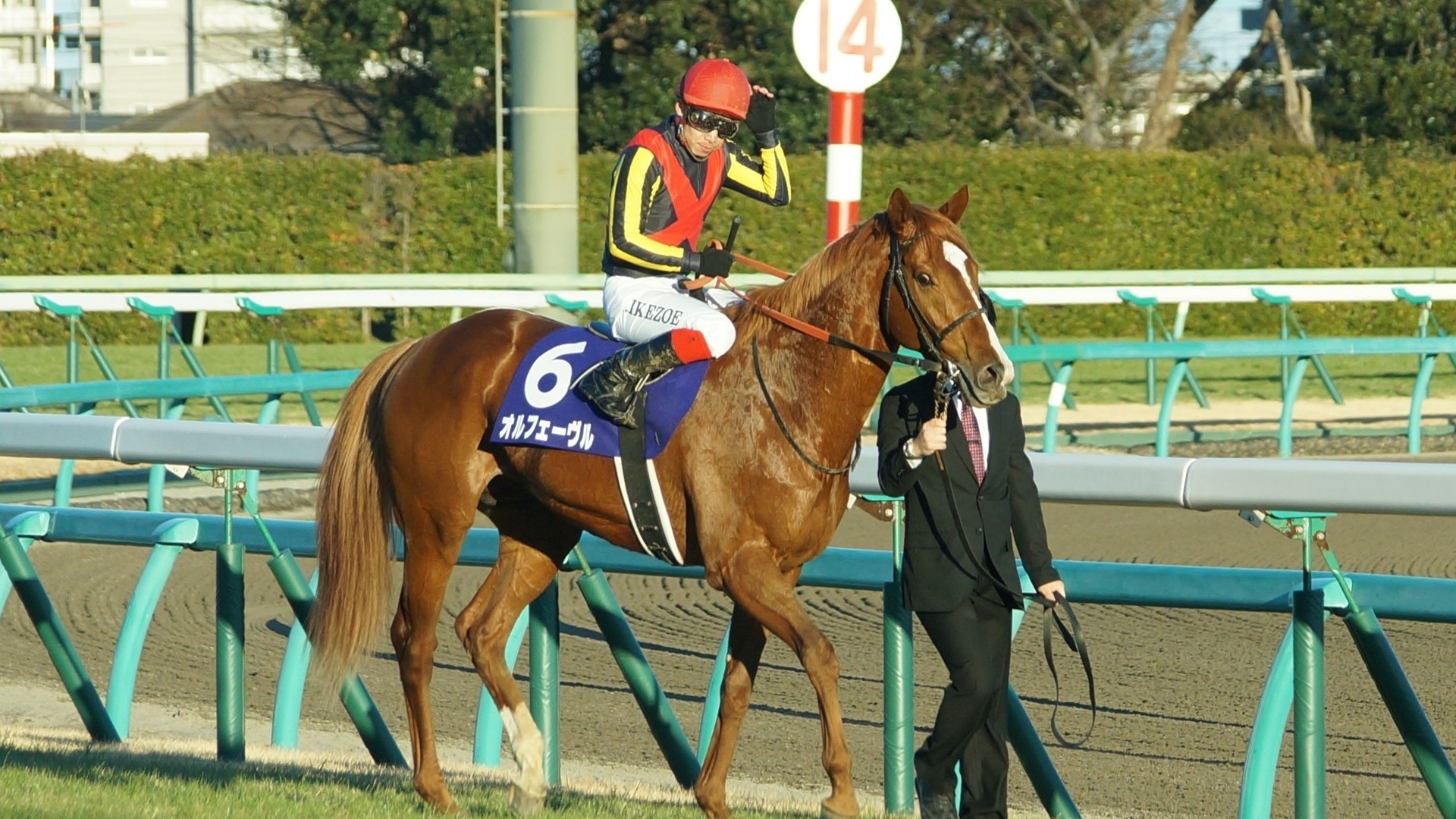 オルフェーヴルが有馬記念を制した時の、池添謙一をめぐる裏話（平松