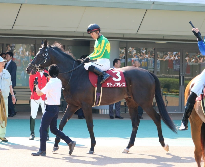 京王杯のパドックから馬場へ向かおうとするサトノアレス。残念ながらこの直後、競走除外となった