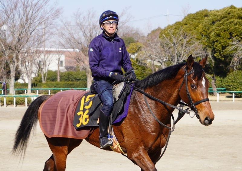 現在、調教助手として活躍する小林久晃は元ジョッキーだ