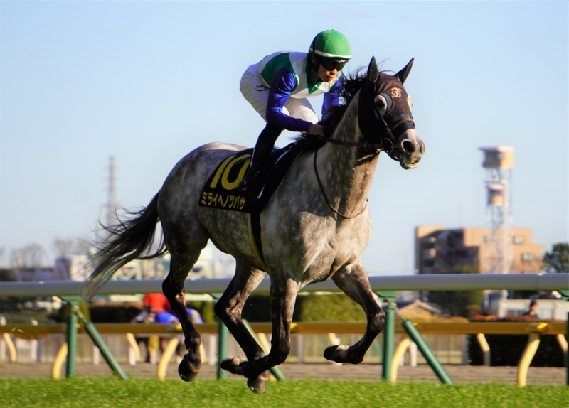 白富士Sでのミライヘノツバサ。白い馬体のおかげでこの後の馬生が開けた
