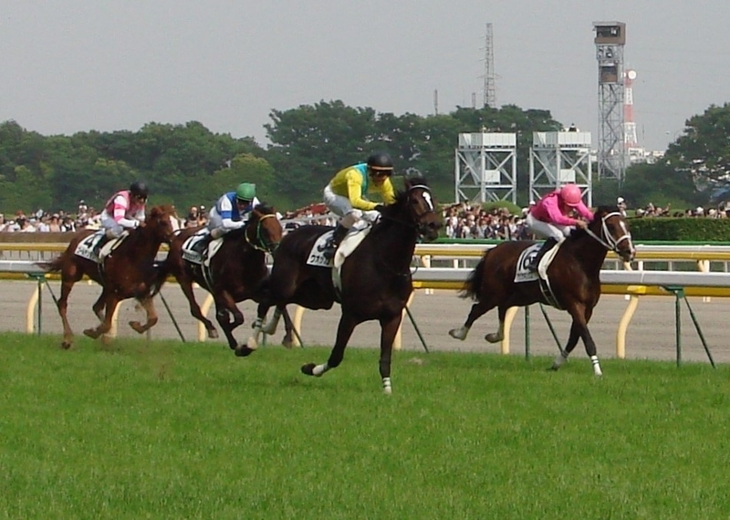 ２００７年、牝馬ながら日本ダービーを制したウオッカ。このレースを観戦した酒井は「俺もやってやる!!」と決意した