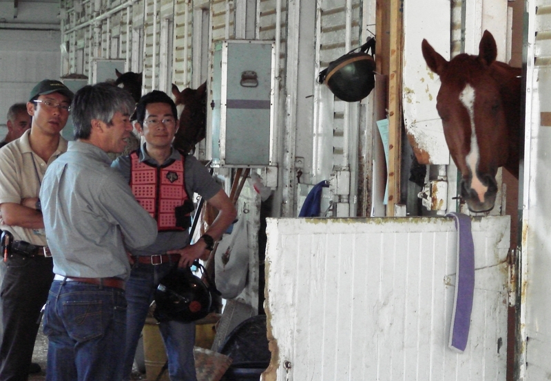 ベルモント競馬場の馬房でのカジノドライヴと藤沢（左から２人目）