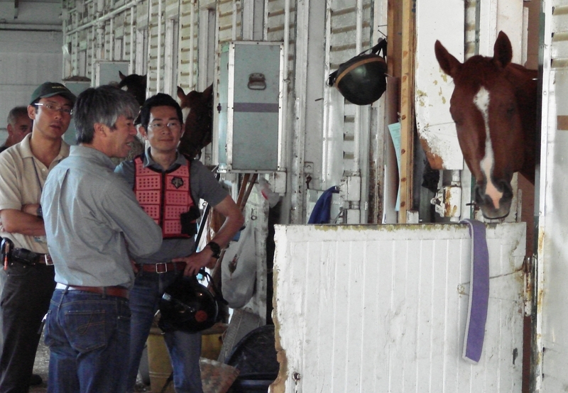 ベルモント競馬場の馬房でのカジノドライヴと藤沢(左から2人目)