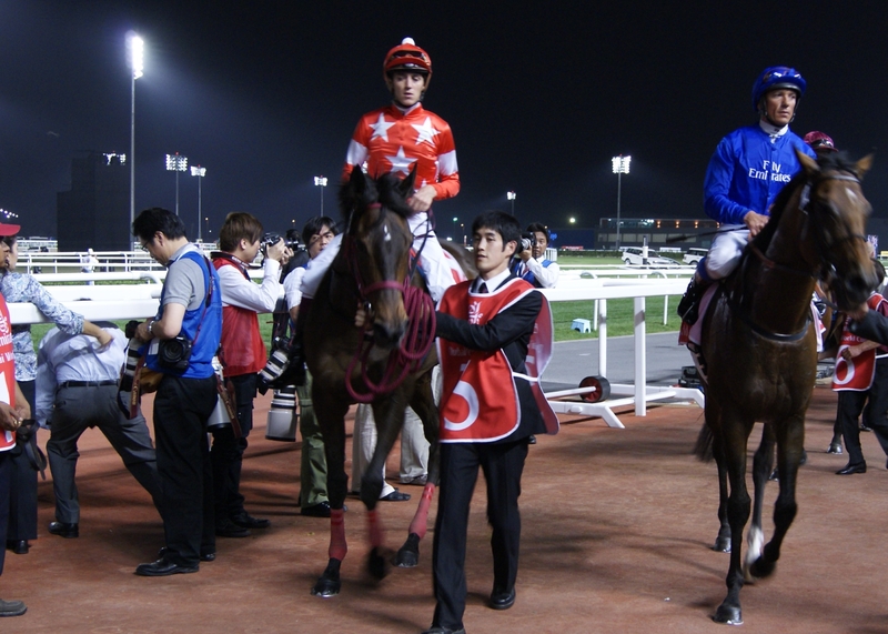 レッドディザイア ゼッケン ドバイワールドカップ 秋華賞 競馬 ウマ娘 