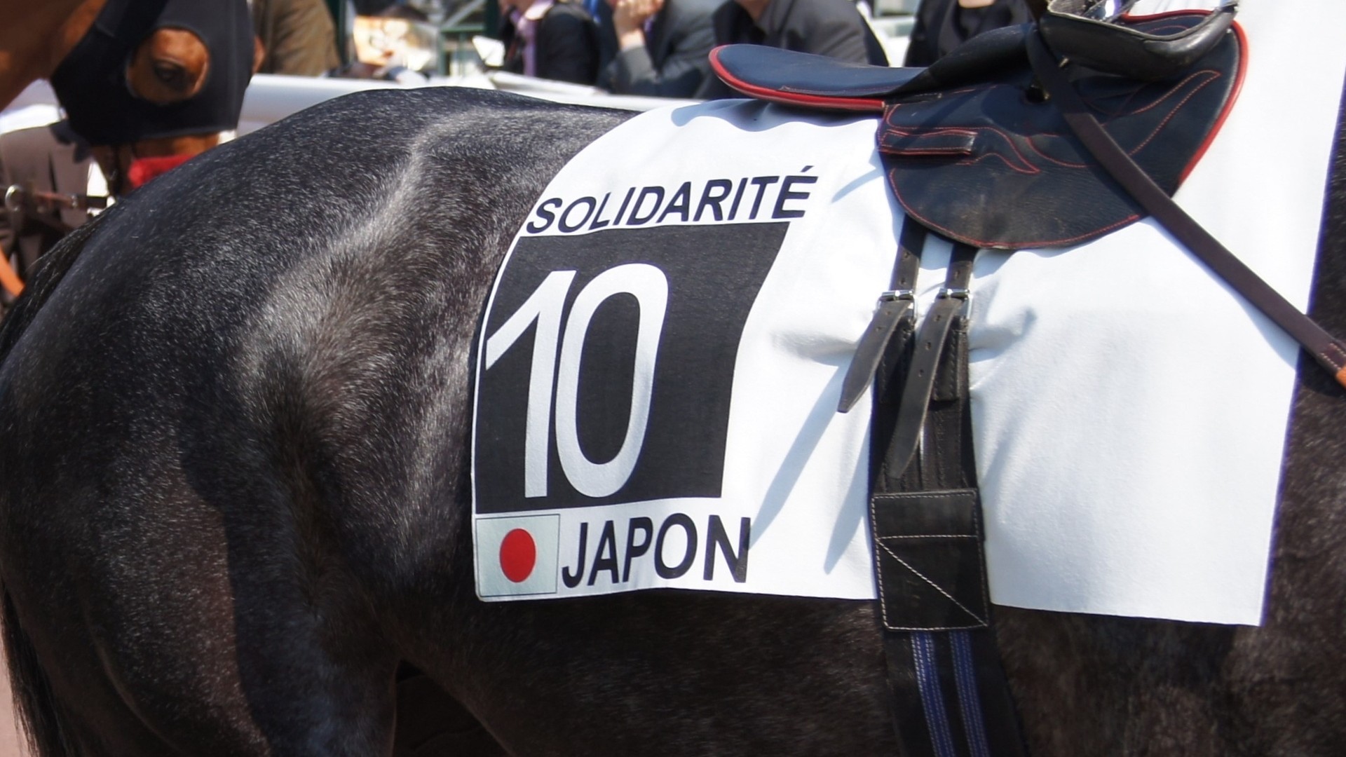 日本を救え!!」 異国でこんなレースが行われていた事をご存知だろうか