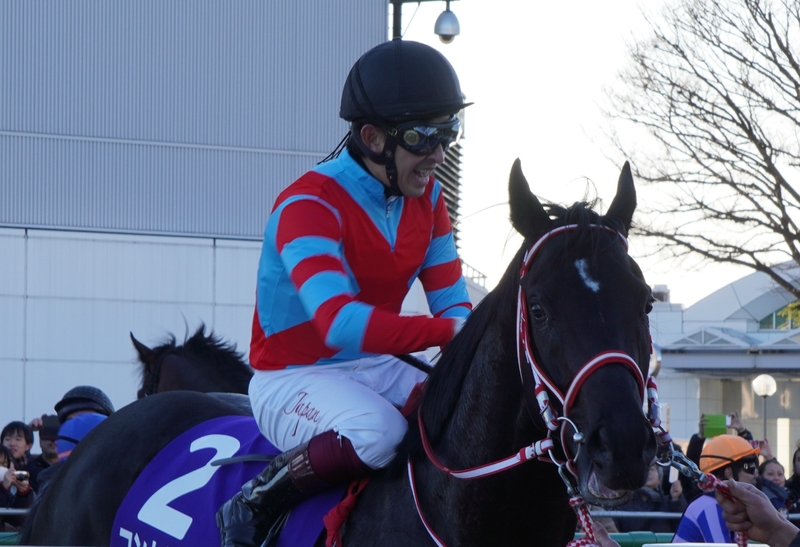 国内翌日発送 ディープインパクト 菊花賞 馬番ボールペン 競馬 優勝馬