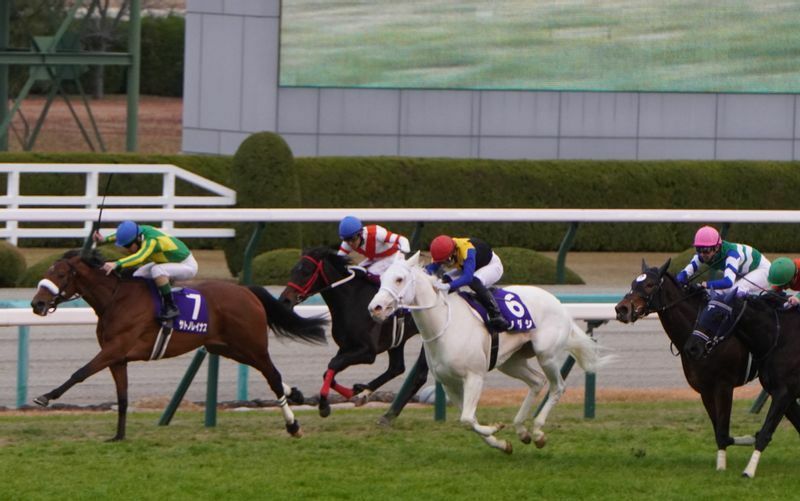 阪神ＪＦのゴール前。白い馬体のゼッケン６番が勝ったソダシ。左のゼッケン７がハナ差２着のサトノレイナス