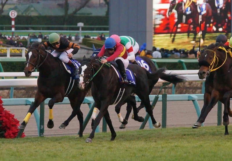 15年の有馬記念。ゴールドアクター（中央青帽）を駆って吉田隼人は念願の初ＧⅠ勝ちを決める