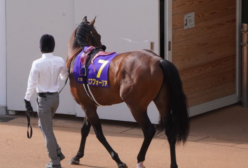 地下馬道への出入り口に目をやる仕種に「落ち着きを感じた」と成田は言う