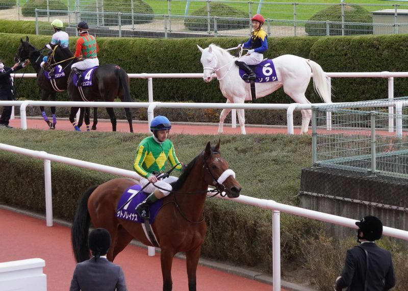 阪神ジュベナイルＦ、桜花賞とソダシ（後方、白毛馬）の２着に惜敗したサトノレイナス