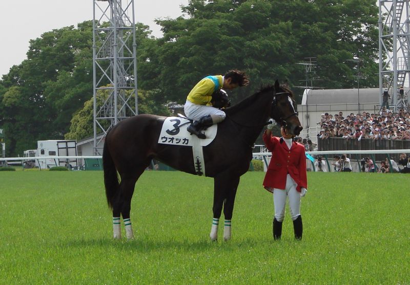 有名ブランド おがわじゅり 額装イラストパネル ウマ娘 競馬 JRA 日本