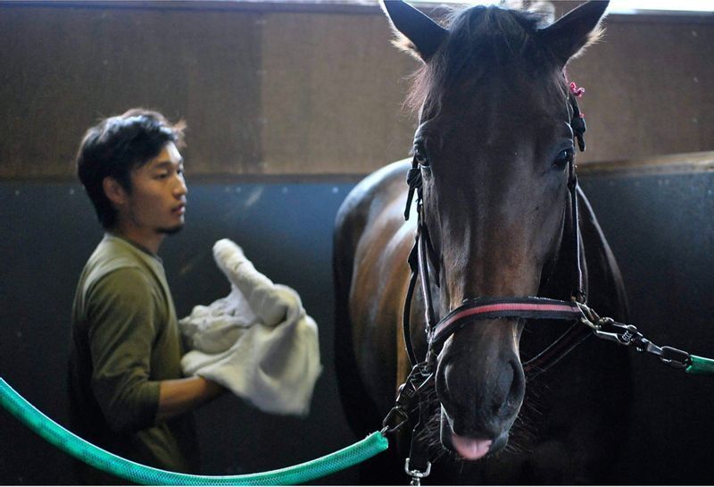 遠野馬の里で育成していた頃のスズカデヴィアスと橋田（写真提供＝香月美鈴）