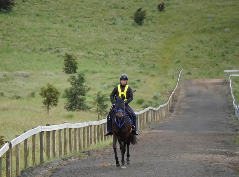 19年、オーストラリアでスズカデヴィアスの調教に騎乗する児玉