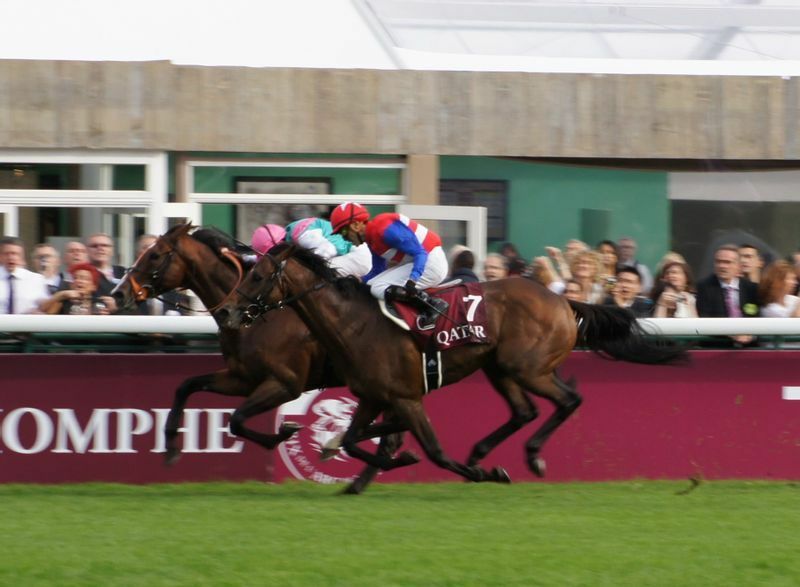 凱旋門賞の頂に最も近付いた日本馬ナカヤマフェスタも、その年の宝塚記念を制した馬だった（2010年凱旋門賞）
