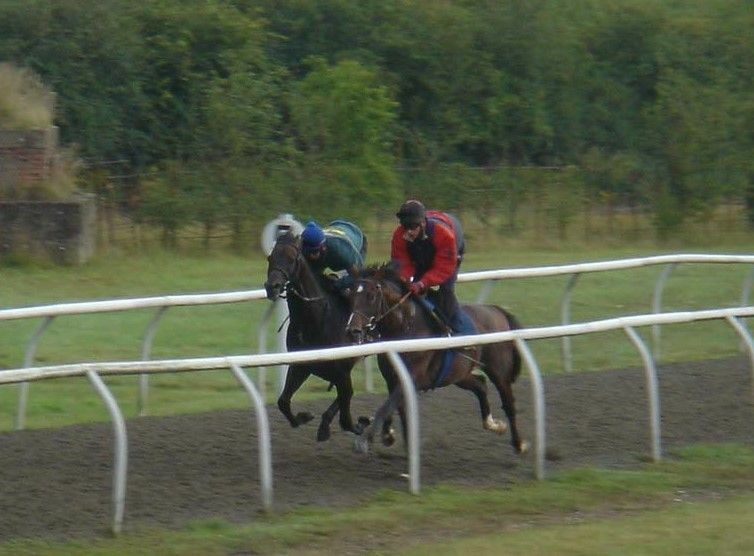 ラグ厩舎の馬と併せ馬で追い切られたゼンノロブロイ（左）。鞍上は鹿戸雄一騎手（現調教師）