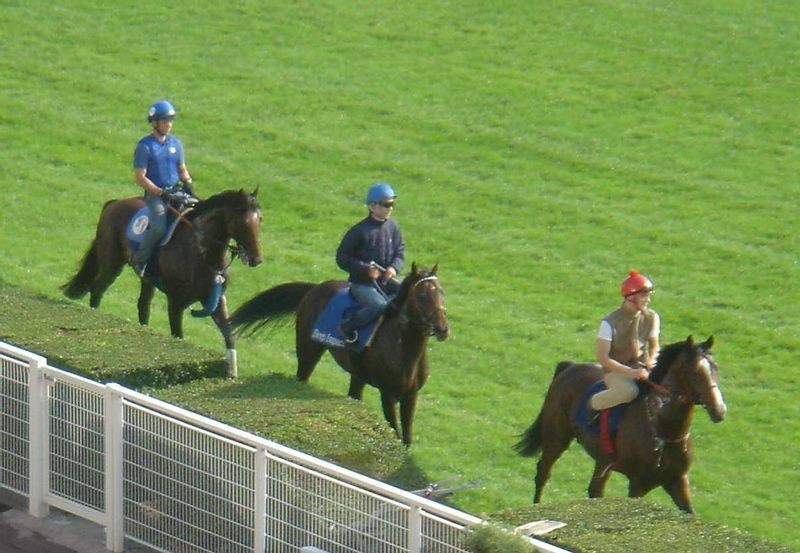 ロンシャン競馬場（当時）で追い切りを行なったディープインパクト（中央）。鞍上は武豊騎手