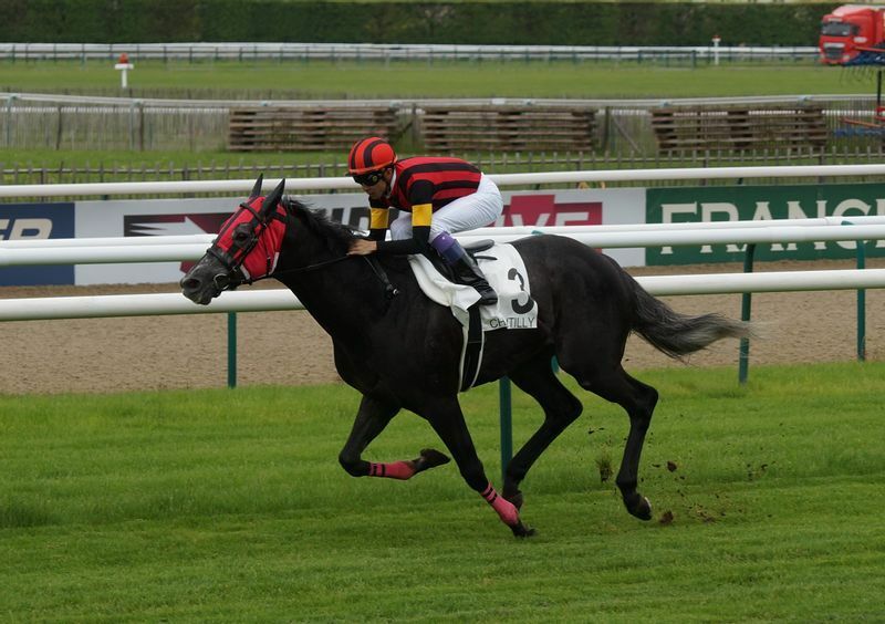 16年イスパーン賞（仏ＧⅠ）で２着に10馬身差で圧勝したエイシンヒカリ。日本馬は中距離戦なら世界中で実績を残している。果たして馬場適性は関係あるのだろうか？