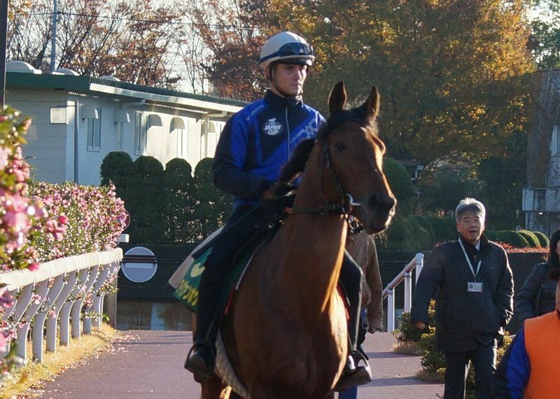 ドイツ馬アイヴァンホウとイトウがジャパンＣに挑戦した際、ピーヒュレクは調教ライダーとして来日していた（写真は東京競馬場でアイヴァンホウに騎乗するピーヒュレク）