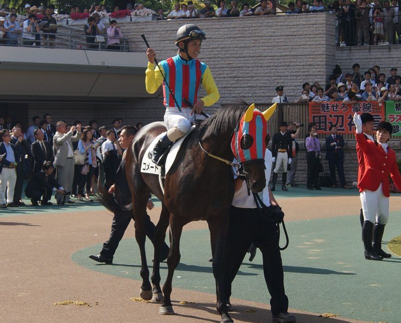 ダービーでのコメートと嘉藤