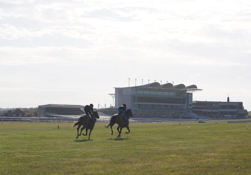 広大なニューマーケット競馬場での調教風景